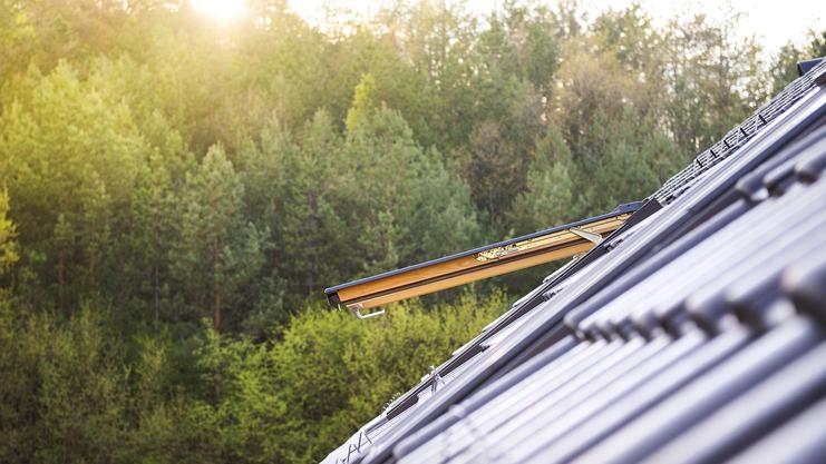 Bild fehlt Dachfenster auf einem Gebäude mit photovoltaischen Modulen, im Hintergrund ein Wald in sanftem Licht.
